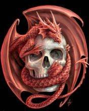 pic for Red dragon on skull